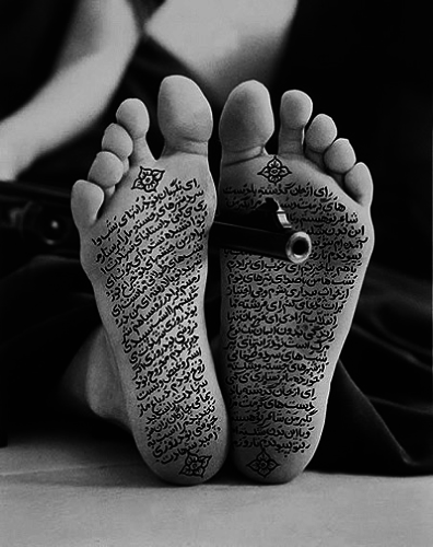 allegiance-with-wakefulness